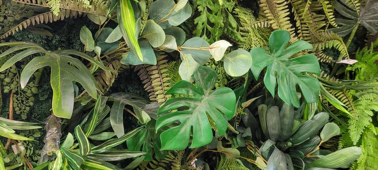 vertical garden floral background with green leaves, with tropical plants native to brazil