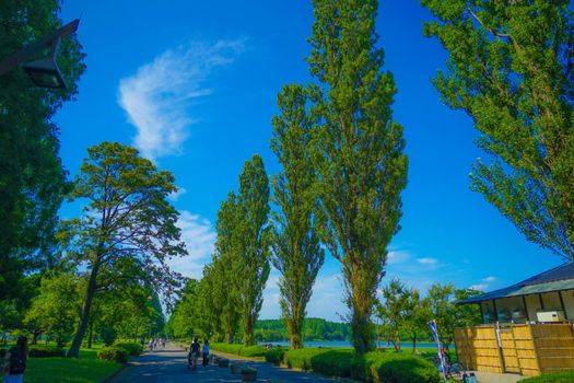 New green of Mizumoto Park. Shooting Location: Katsushika-ku, Tokyo