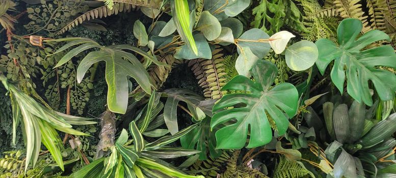 vertical garden floral background with green leaves, with tropical plants native to brazil