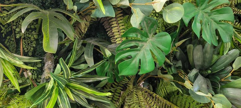 vertical garden floral background with green leaves, with tropical plants native to brazil