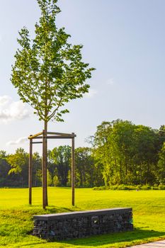 Natural beautiful panorama view with lake river walking pathway and green plants trees in the forest of Speckenbütteler Park in Lehe Bremerhaven Germany.