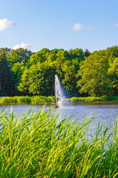 Natural beautiful panorama view with lake river fountain walking pathway and green plants trees in the forest of Speckenbütteler Park in Lehe Bremerhaven Germany.