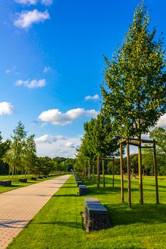 Natural beautiful panorama view with lake river walking pathway and green plants trees in the forest of Speckenbütteler Park in Lehe Bremerhaven Germany.