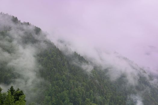 Mountain lake in the fog.