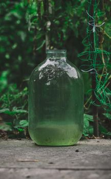 A glass transparent ten liter bottle of water stands in the garden