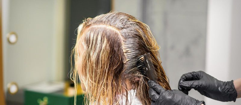 A hairdresser in black gloves is applying brush color to the hair of a customer. Hair coloring in a beauty salon close-up