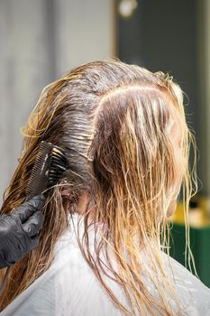 A hairdresser in black gloves is applying brush color to the hair of a customer. Hair coloring in a beauty salon close-up