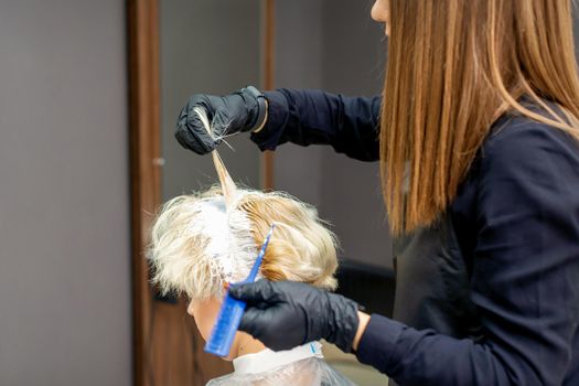 Coloring female hair in the hair salon. Young woman having her hair dyed by beautician at the beauty parlor