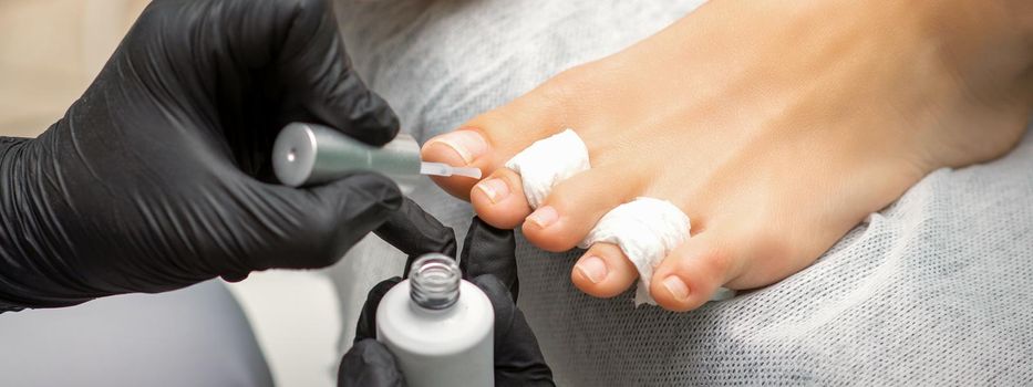 Pedicurist applying transparent varnish to the female toenails in a beauty salon