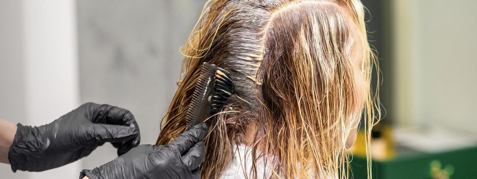 A hairdresser in black gloves is applying brush color to the hair of a customer. Hair coloring in a beauty salon close-up