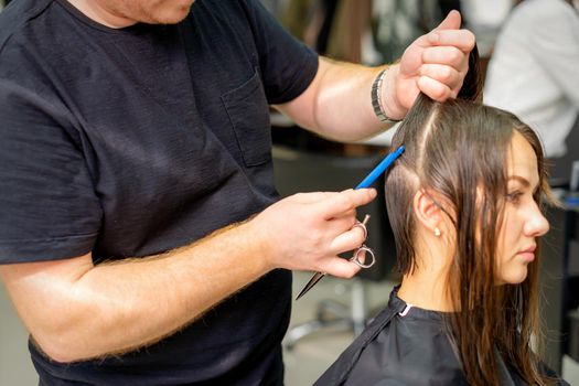 Hairdresser divides female hair into sections with comb holding hair with her hands in hair salon close up