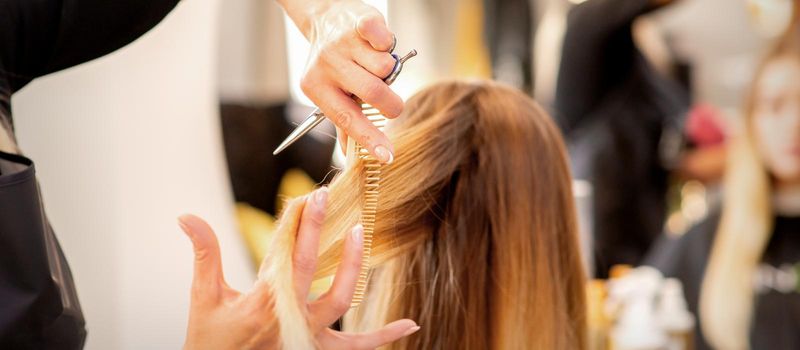 Cutting female blonde hair. Hairdresser cuts hair of a young caucasian woman in a beauty salon close up