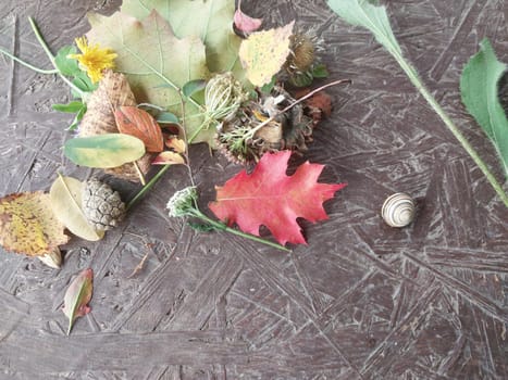 Autumn colorful flowers lie on a the table