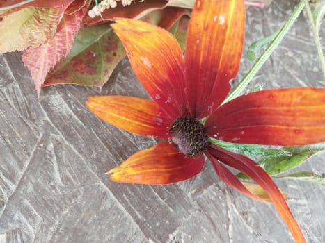 Autumn colorful flowers lie on a the table