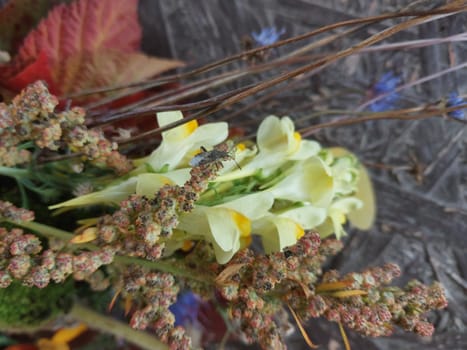 Autumn colorful flowers lie on a the table