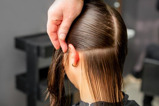 Hairdresser divides female hair into sections with comb holding hair with her hands in hair salon close up