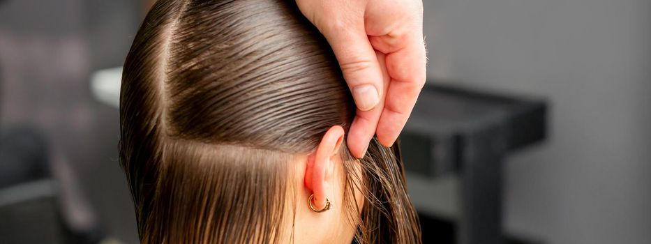 Hairdresser divides female hair into sections with comb holding hair with her hands in hair salon close up