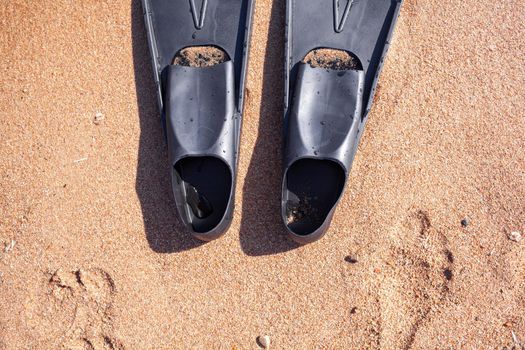 A pair of black flippers on the background of sand next to the water, top view. Swimming equipment - fins on the shore. Summer holidays, fun, exploring the sea world concept. Space for copy.