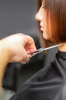 Woman having a new haircut. Male hairstylist cutting brown hair with scissors in a hair salon