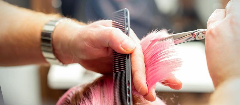 Woman having a new haircut. Male hairstylist cutting pink hair with scissors in a hair salon, close up