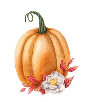 Hand paint watercolor autumn set of pumpkin and flower isolated on white background, watercolor illustration