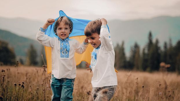 Happy glad boys - Ukrainian patriots children jumping, rejoyces with national flag on meadow of Carpathian mountain. Ukraine, family, brothers twins, best friends, peace, freedom, win in war. High