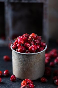 Rosehip in the cup. Benefits and used as a natural remedy. Natural therapy. dark mode style.