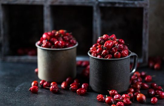 Rosehip in the cup. Benefits and used as a natural remedy. Natural therapy. dark mode style.