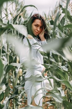 A brunette girl in a white dress in a cornfield. The concept of harvesting.