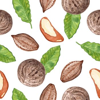 watercolor brazilian nut seamless pattern on white background. For fabric, wrapping, branding, wallpaper