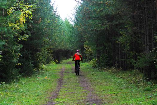 A girl in sportswear and a helmet rides a bicycle through the forest. Back view.