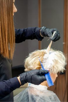 Coloring female hair in the hair salon. Young woman having her hair dyed by beautician at the beauty parlor