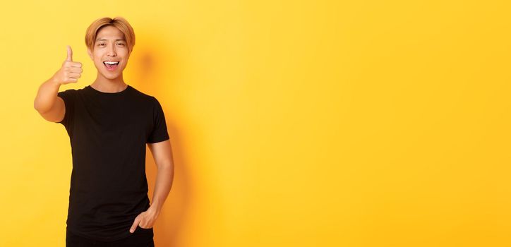 Portrait of pleased handsome asian guy, showing thumbs-up in approval, standing over yellow background.