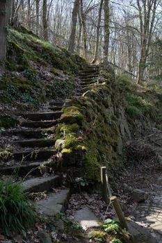 Background of stone stairs and a granite wall covered with green moss. High quality photo