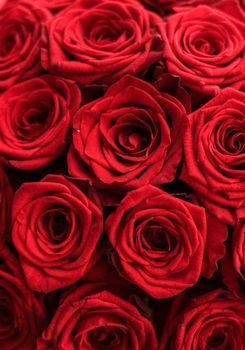 Blooming rose, flower blossom and Valentines Day gift concept - Gourgeous luxury bouquet of red roses, flowers in bloom as floral holiday background