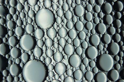 abstract macro background of oil circles floating over water surface . Macro closeup view of bubbles on water . oil bubbles in the water macro photographic background