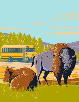 WPA poster art of a wildlife bus tour and North American bison or Plains bison in prairie of Yellowstone National Park, Wyoming, United States USA done in works project administration style.
