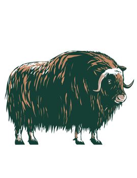 WPA poster art of a muskox, musk ox, musk-ox or musk oxen, a hoofed mammal of the family Bovidae native to the Arctic side view done in works project administration or federal art project style.