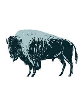 WPA poster art of an American bison, American buffalo or simply buffalo that once roamed North America viewed from side done in works project administration or federal art project style.
