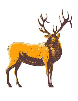 WPA poster art of an elk, Cervus canadensis or wapiti viewed from the side on isolated white background done in works project administration style or federal art project style.
