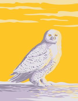 WPA poster art of a snowy owl, polar owl, white owl or Arctic owl in the tundra of the Arctic regions of North America done in works project administration style or federal art project style.