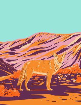 WPA poster art of a coyote in Death Valley National Park in the California Nevada border east of Sierra Nevada, United States done in works project administration style or federal art project style.