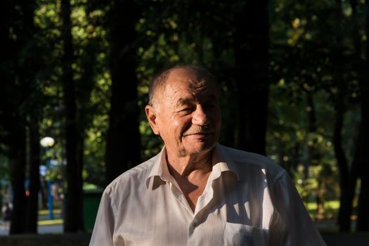 An elderly man walks alone in the park in the summer. Portrait of an old man who is alone in the park among the trees..