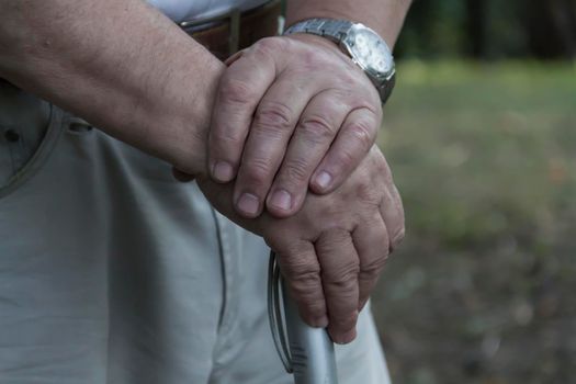 The large hands of an elderly man are folded on a cane with a watch on his right hand..