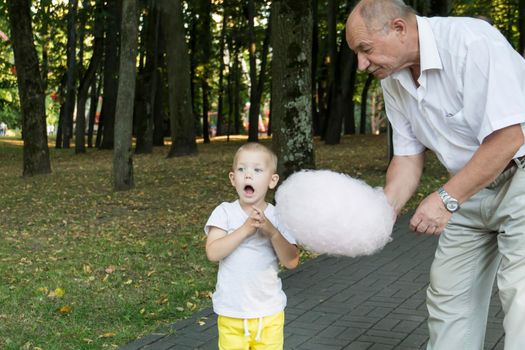 Grandfather lovingly and carefully treats and feeds his little grandson with pink cotton candy in an amusement park. A pensioner and a little boy spend their free time on weekends..