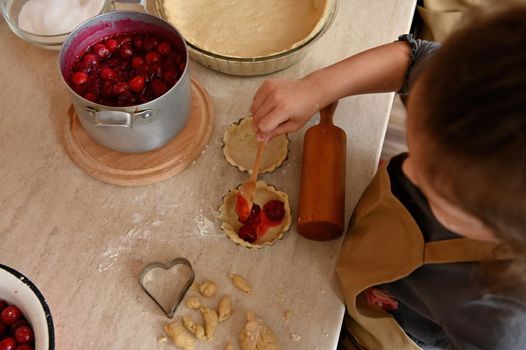 Overhead view of little child girl, baker confectioner in beige chef's apron, filling rolled dough in molds with cherries, preparing tartlets. Kid learns baking while helps her mom in the home kitchen
