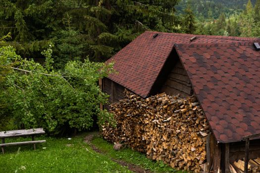 stacked firewood and dry branches. firewood for kindling stoves, barbecue. harvesting firewood for the winter. cutting down old trees. fuel.