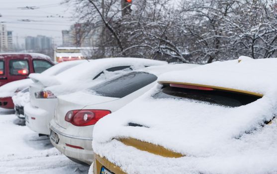 Cars covered with fresh white snow.