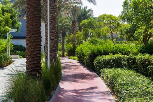 Jogging track in the park