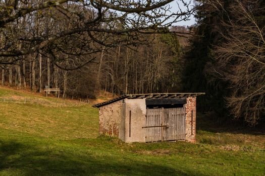 A pasture in a forest clearing with a simple hut